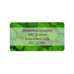 Holy Basil Tulsi Green Mint Leaves Label