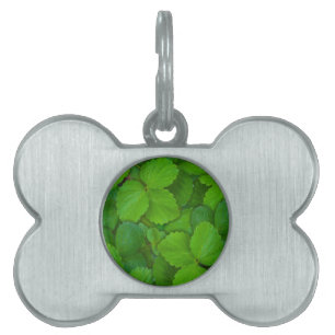 Holy Basil Tulsi Green Mint Leaves Pet Name Tag