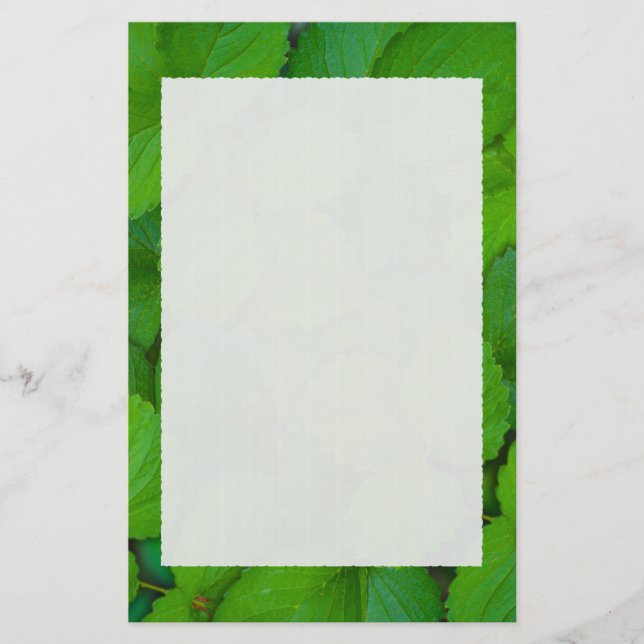 Holy Basil Tulsi Green Mint Leaves Stationery (Front)