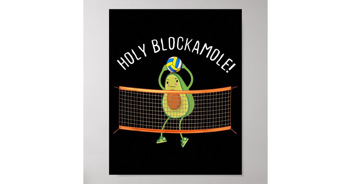 Holy Blockamole Volleyball Cute Fun Poster | Zazzle