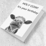 Holy Cow Birthday Black White Cow  Card<br><div class="desc">This design may be personalised by choosing the Edit Design option. You may also transfer onto other items. Contact me at colorflowcreations@gmail.com or use the chat option at the top of the page if you wish to have this design on another product or need assistance. See more of my designs...</div>