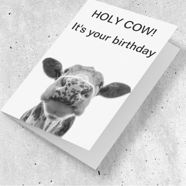 Holy Cow Birthday Black White Cow  Card (Creator Uploaded)