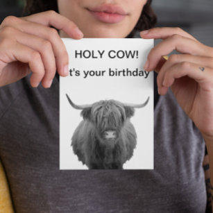 Holy Cow Birthday Highland Cow  Card