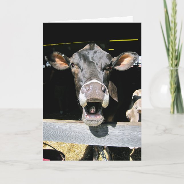 Holy Cow Card (Front)
