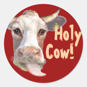 Holy Cow! Classic Round Sticker