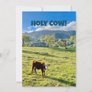 Holy Cow Congratulations Card