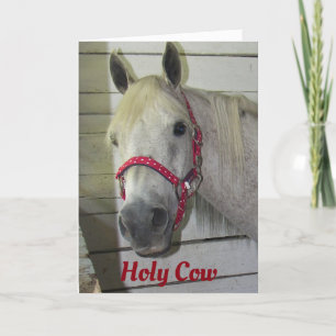 *HOLY COW* HOW DO YOU DO IT? *BIRTHDAY COMPLIMENT* CARD