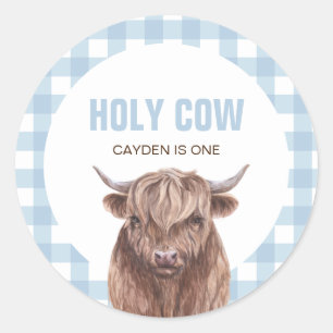 Holy Cow I'm One blue Plaid birthday Classic Round Sticker