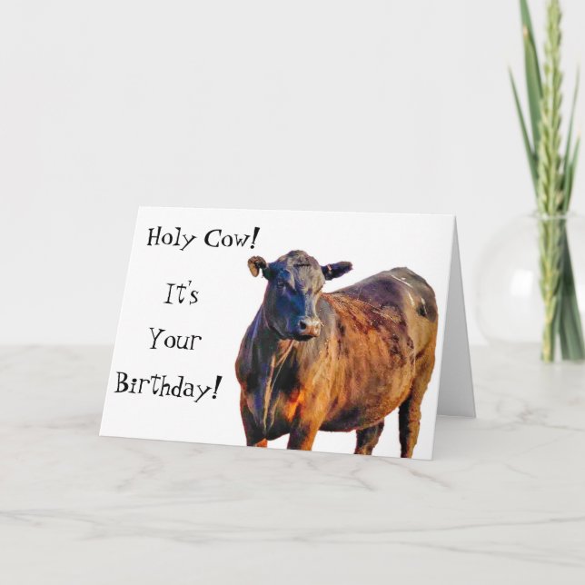 Holy Cow It's Your Birthday! Funny Animal Card (Front)