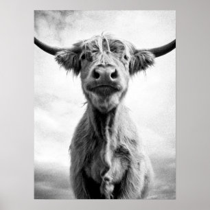 Holy Cow Mesotint Style Art Photography Poster