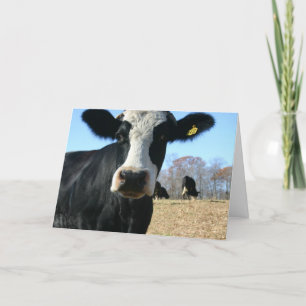 Holy Cow Weve Moved Announcement