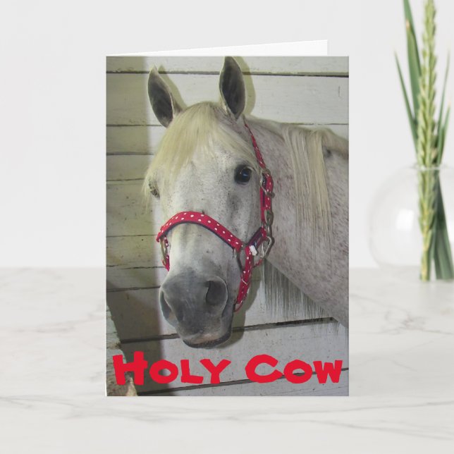 HOLY COW YOUNG FILLY **40th BIRTHDAY** Card (Front)