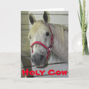 HOLY COW YOUNG FILLY **60th BIRTHDAY** Card