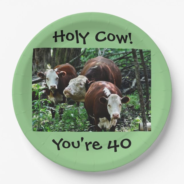 Holy Cow You're 40 Paper Plate (Front)