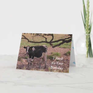Holy Cow, You're Getting Old, Birthday  Card