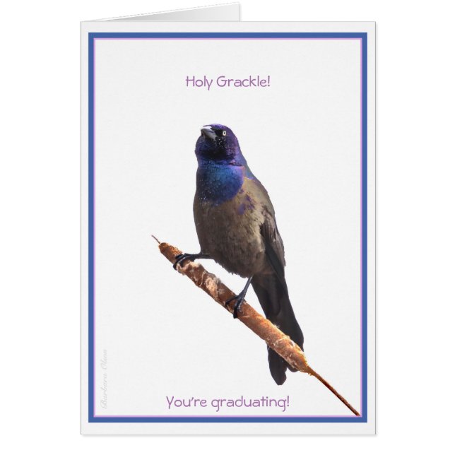 Holy Grackle! You're graduating: (Front)