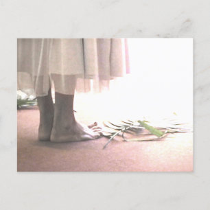 Holy Ground Postcrossing Postcard