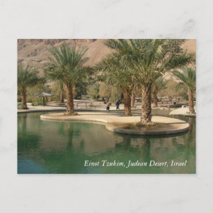 Holy Land Scenes and Images from Israel Postcard