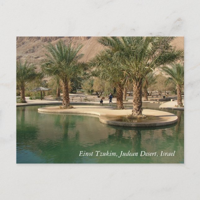 Holy Land Scenes and Images from Israel Postcard (Front)