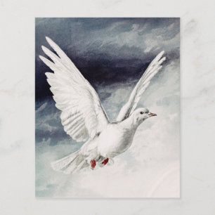 Holy Spirit Dove Religious Confirmation and Peace
