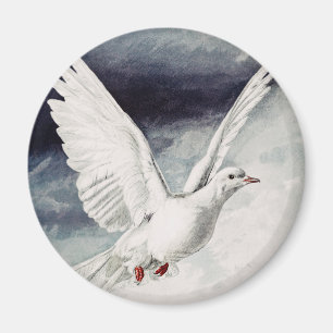 Holy Spirit Dove Religious Confirmation and Peace Magnet