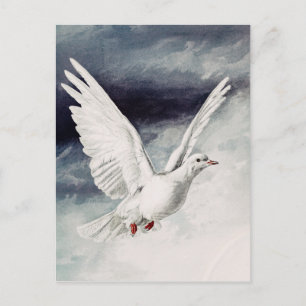 Holy Spirit Dove Religious Confirmation and Peace  Postcard