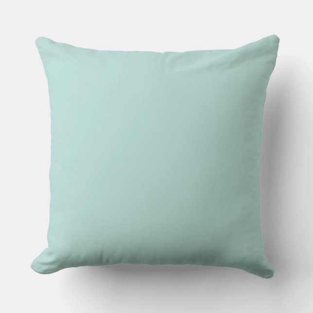 Home Decor Accents Aqua Cushion (Front)