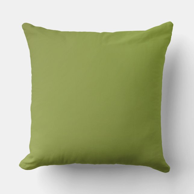 Home Decor Accents Lime Cushion (Front)