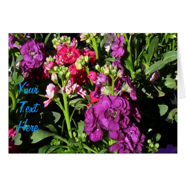 Home Depot Flower Display (Front Horizontal)