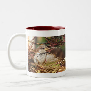 Home For The Holidays Mug