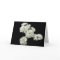 Home Grown White Floral Greeting Cards