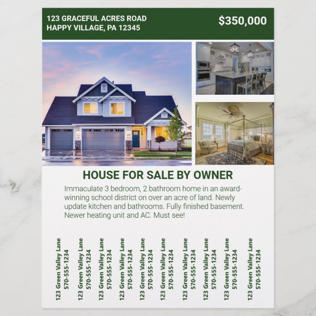 Home House For Sale By Owner Flyer Tear Off Strips (Front)