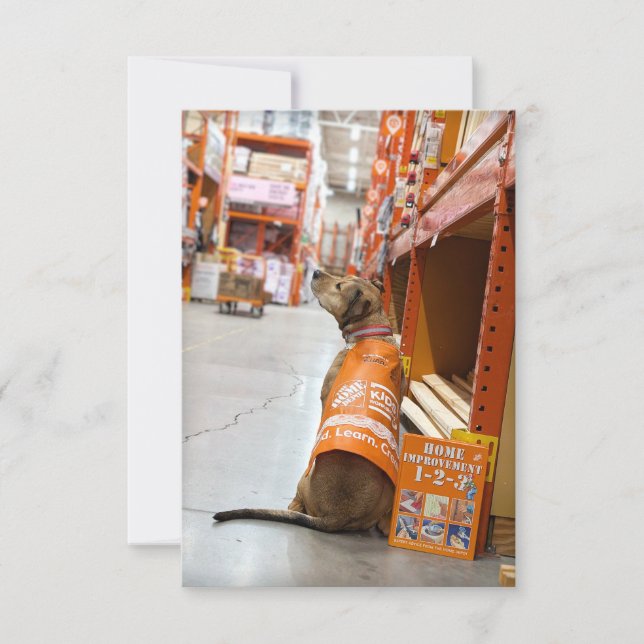 Home Improvement costume book Funny Dog Photo Card (Front)