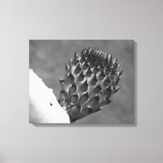 "Home is where it's at..." Canvas Print