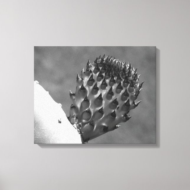"Home is where it's at..." Canvas Print (Front)