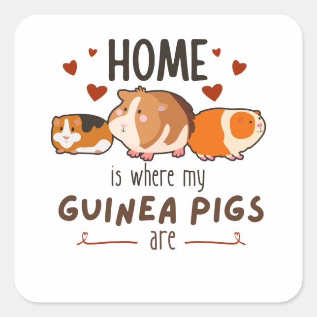 Home Is Where My Guinea Pigs Are Square Sticker (Front)