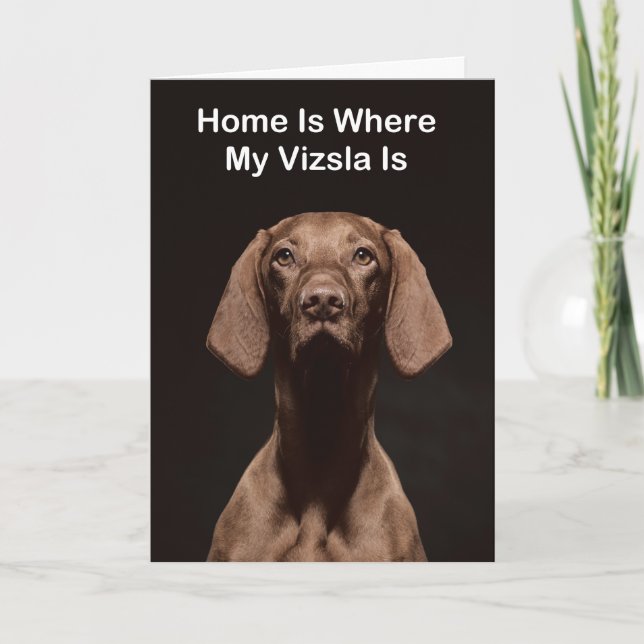 Home Is Where My Vizsla Is Card (Front)