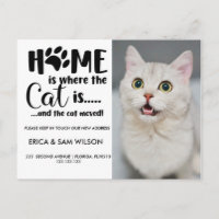 Home is where the cat is and the cats moved moving