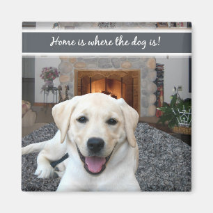 Home is where the dog is magnet