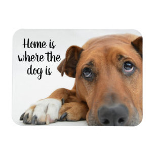 Home Is Where The Dog Is Magnet