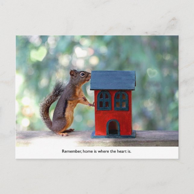 Home is Where the Heart Is Squirrel Postcard (Front)