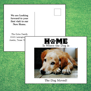 Home is Where to Dog is Moving Announcement  Postcard