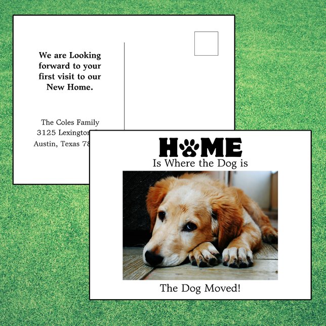 Home is Where to Dog is Moving Announcement  Postcard (Creator Uploaded)
