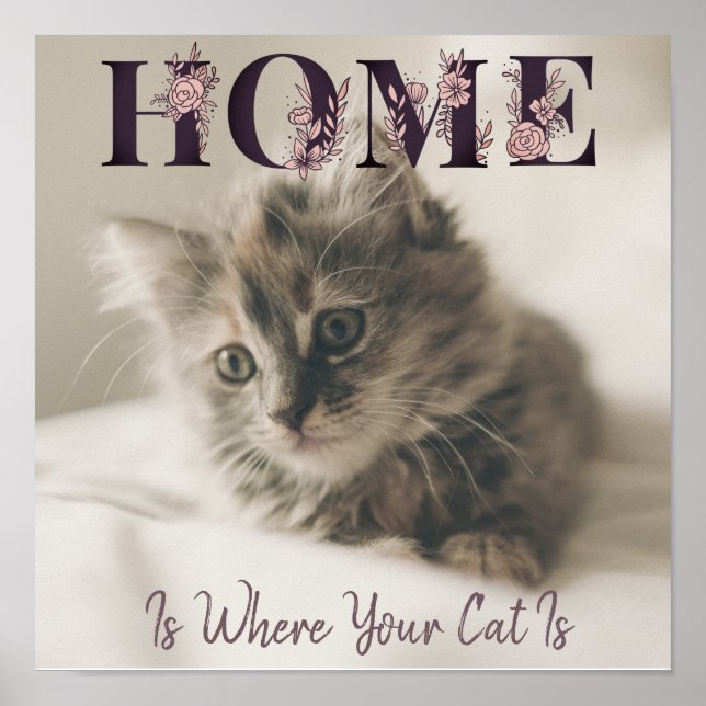 Home Is Where Your Cat Is Poster (Front)