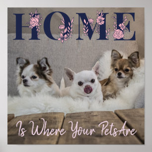 Home Is Where Your Pets Are Poster