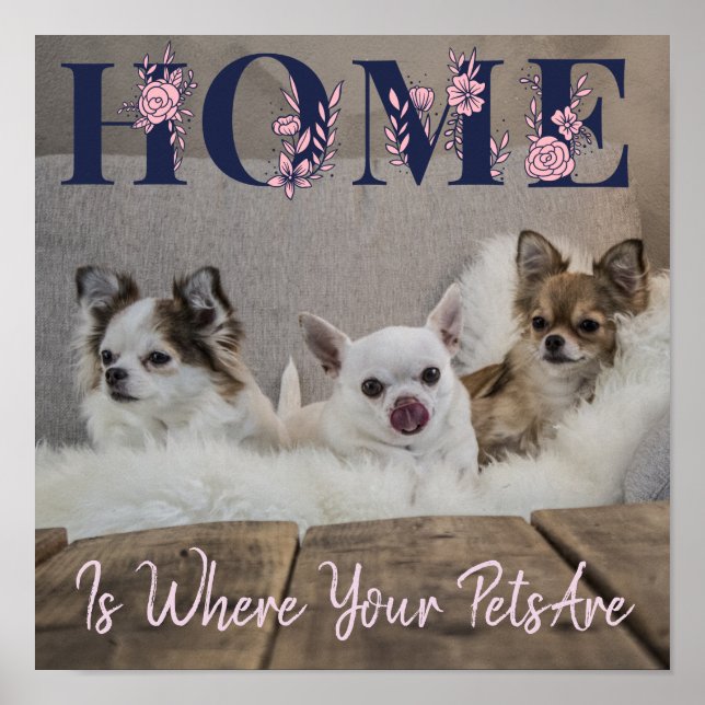 Home Is Where Your Pets Are Poster (Front)