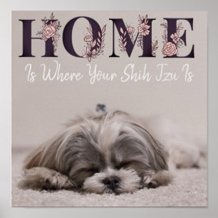 Home Is Where Your Shih Tzu Is Poster