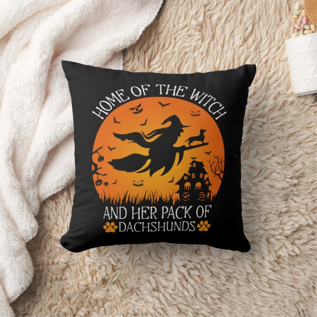 Home Of The Witch And Her Pack Of Dachshunds Cool Cushion (Blanket)