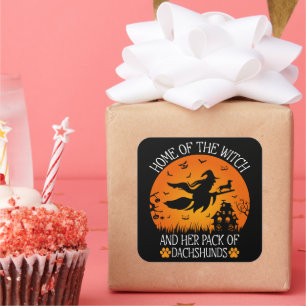 Home Of The Witch And Her Pack Of Dachshunds Cool Square Sticker