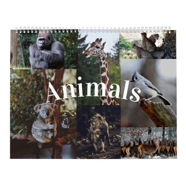 Home/Office Wall Calendar Animal Calendar (Cover)